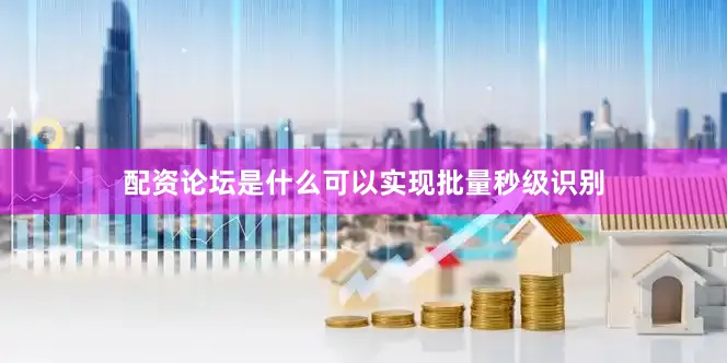 配资论坛是什么可以实现批量秒级识别