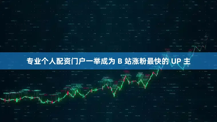 专业个人配资门户一举成为 B 站涨粉最快的 UP 主