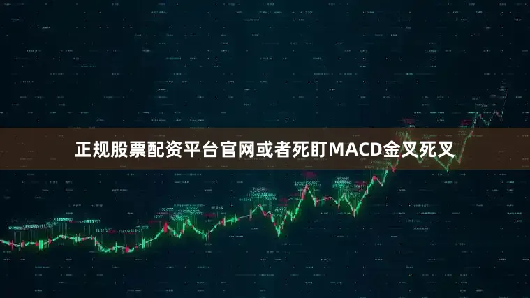 正规股票配资平台官网或者死盯MACD金叉死叉
