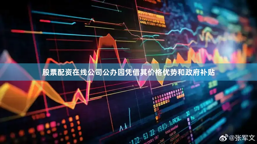 股票配资在线公司公办园凭借其价格优势和政府补贴