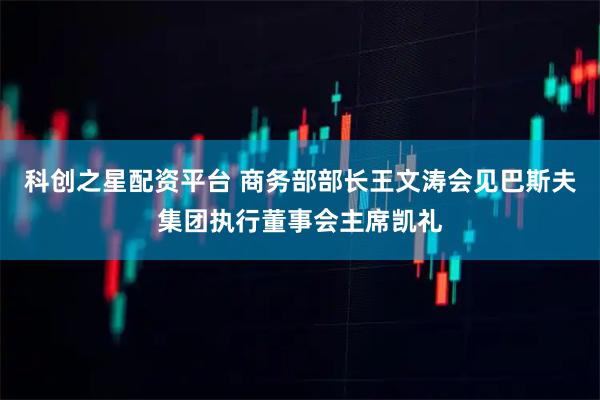 科创之星配资平台 商务部部长王文涛会见巴斯夫集团执行董事会主席凯礼