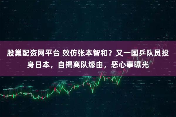 股巢配资网平台 效仿张本智和？又一国乒队员投身日本，自揭离队缘由，恶心事曝光