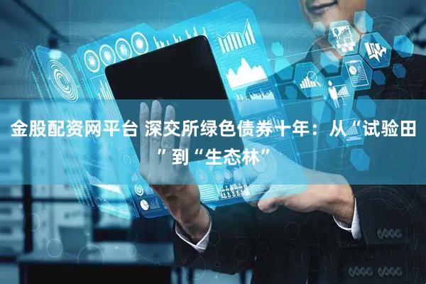 金股配资网平台 深交所绿色债券十年：从“试验田”到“生态林”