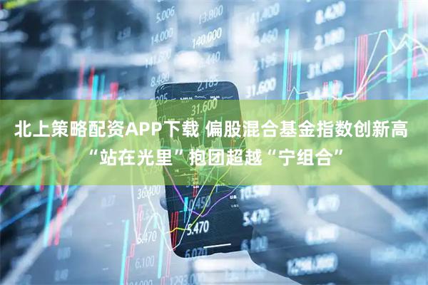 北上策略配资APP下载 偏股混合基金指数创新高 “站在光里”抱团超越“宁组合”