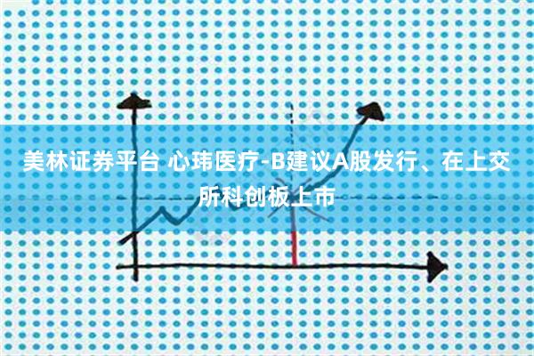 美林证券平台 心玮医疗-B建议A股发行、在上交所科创板上市
